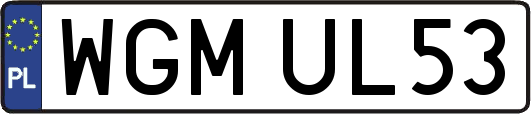 WGMUL53