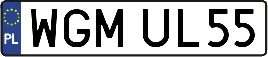 WGMUL55