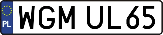 WGMUL65