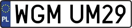 WGMUM29
