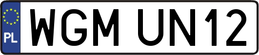 WGMUN12