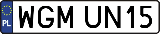 WGMUN15