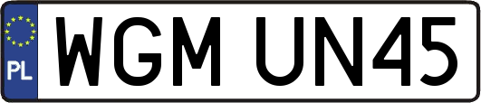 WGMUN45