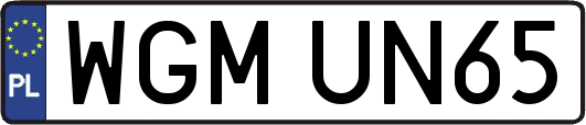 WGMUN65
