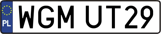 WGMUT29