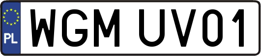 WGMUV01