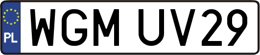 WGMUV29