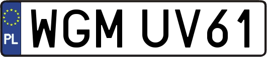 WGMUV61