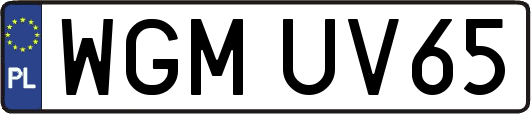 WGMUV65