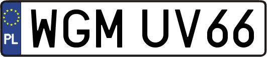 WGMUV66