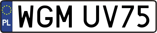 WGMUV75