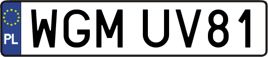 WGMUV81
