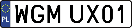 WGMUX01