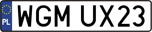 WGMUX23