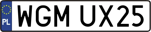 WGMUX25