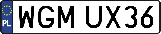 WGMUX36