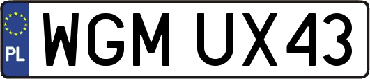 WGMUX43