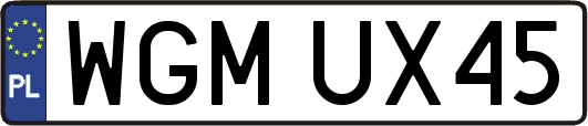 WGMUX45