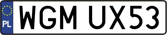 WGMUX53
