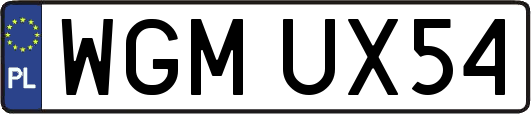 WGMUX54