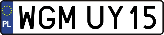 WGMUY15