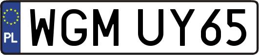 WGMUY65