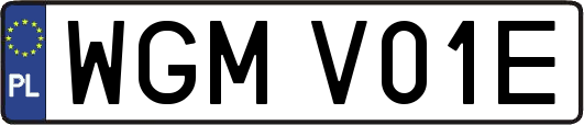 WGMV01E