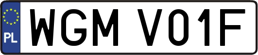WGMV01F