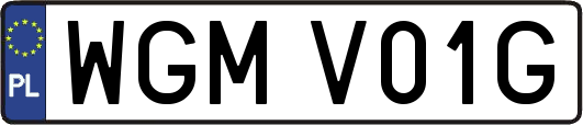 WGMV01G
