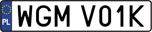 WGMV01K