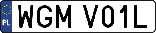 WGMV01L