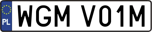 WGMV01M