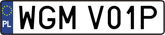 WGMV01P