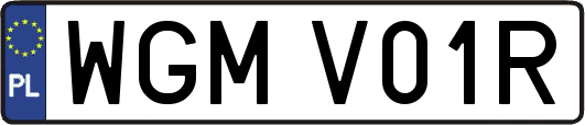 WGMV01R