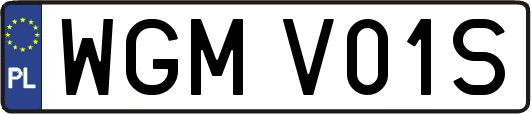 WGMV01S