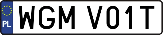 WGMV01T