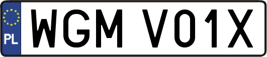 WGMV01X