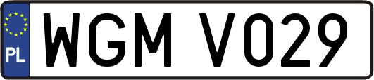 WGMV029