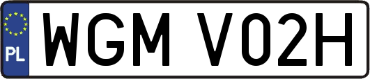WGMV02H