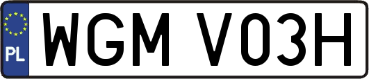 WGMV03H