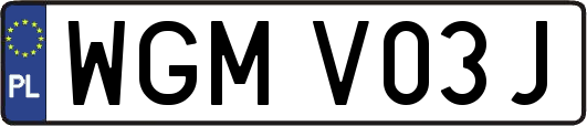 WGMV03J