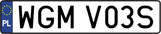 WGMV03S