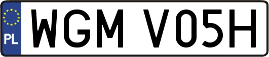 WGMV05H