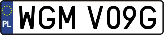 WGMV09G