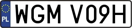 WGMV09H