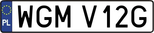 WGMV12G