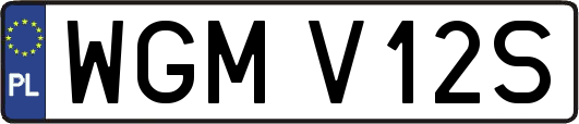 WGMV12S