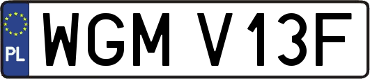 WGMV13F