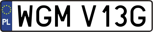 WGMV13G