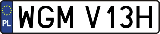 WGMV13H